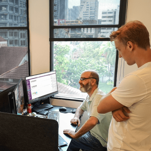Developers utilizing automated software testing